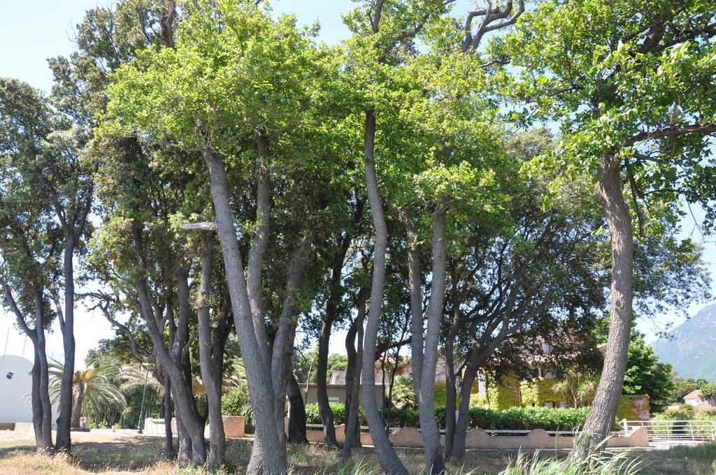 Aparthotel Sole E Mare Santa-Maria-Poggio  Exteriér fotografie